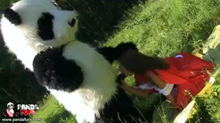 Red Riding Hood fucked outdoors