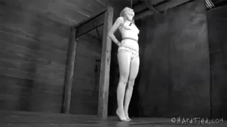 Houdini Trapped