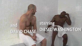 Diesel is Way DMH
